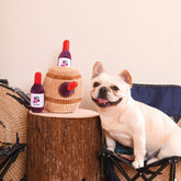 Dog playing with HugSmart Autumn Tailz Wine Barrel Hide and Seek Plush Toy.